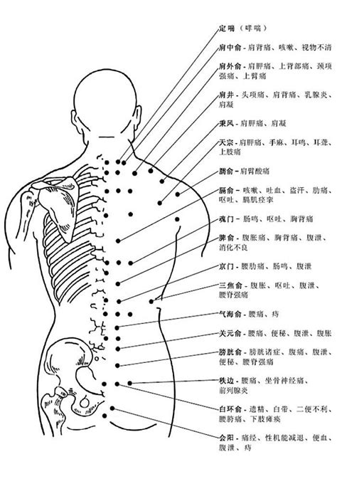 背後穴位圖|人體12個重要穴位（從上到下）